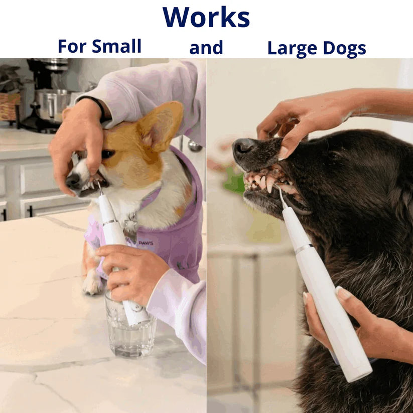 PrimePick Kit – Remove Plaque & Tartar at Home, No Vet Anesthesia Needed