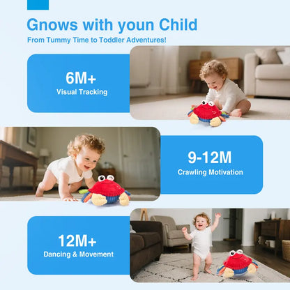 Musical Dancing Crab Toy