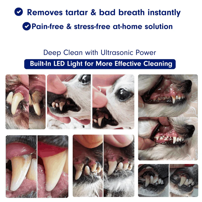 DentaPaw Pro — At-Home Ultrasonic Tartar & Plaque Remover for Dogs