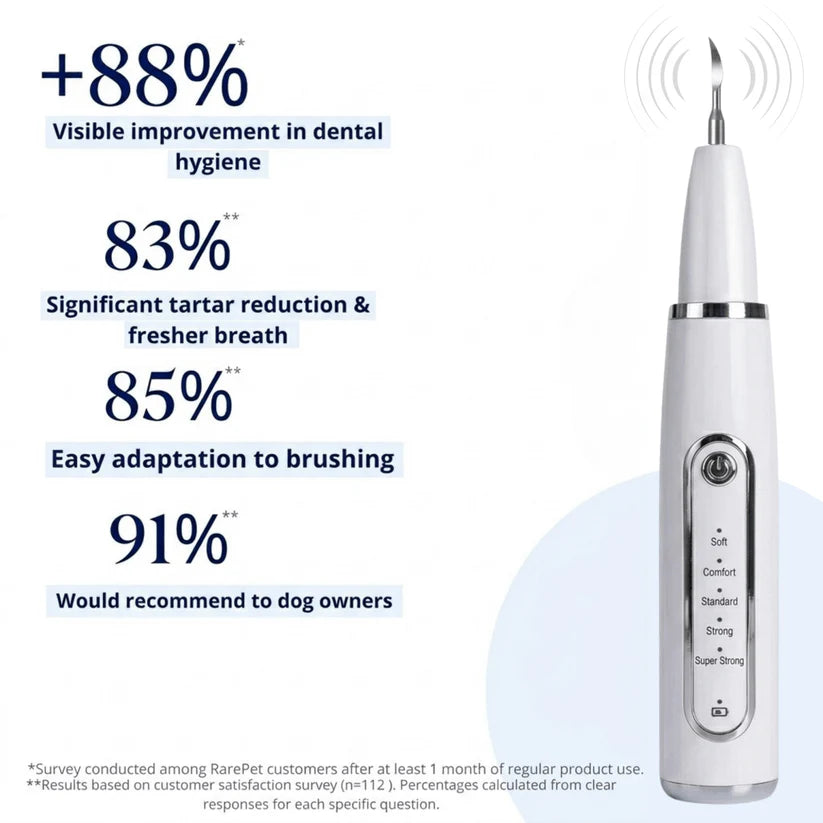DentaPaw Pro — At-Home Ultrasonic Tartar & Plaque Remover for Dogs
