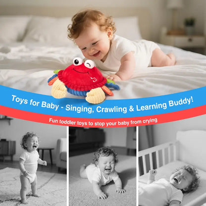 Musical Dancing Crab Toy