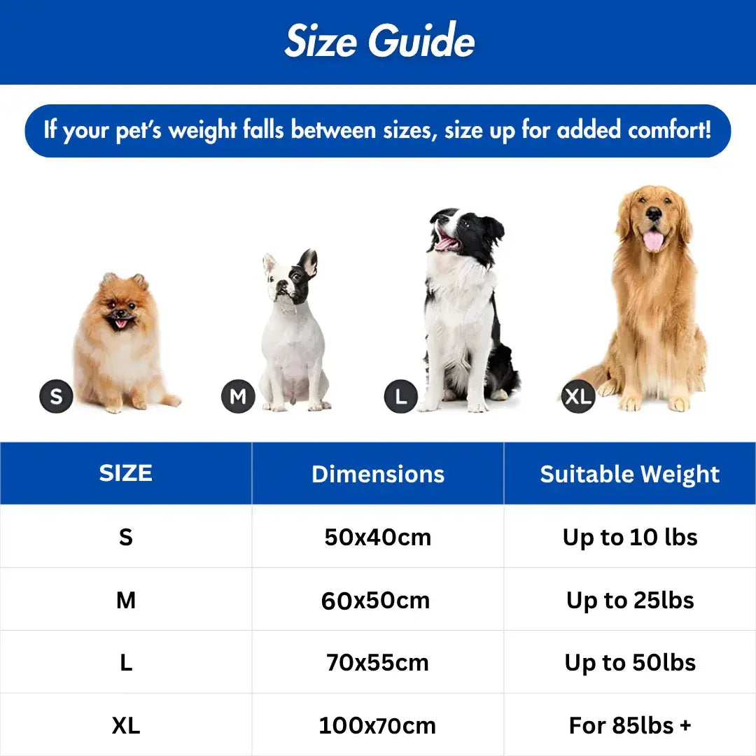 PrimePick CoolMat™ – die Kühlmatte, die Ihren Hund in wenigen Minuten beruhigt, wo immer Sie sind