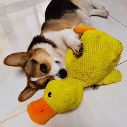 De Calming Duck™ Geen pillen. Geen bijwerkingen. Gewoon een rustige, gelukkige hond.