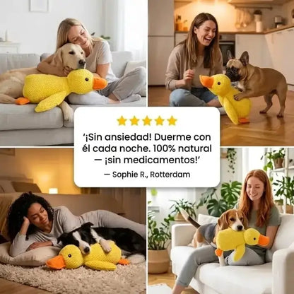 El Calming Duck™ Sin pastillas. Sin efectos secundarios. Simplemente un perro tranquilo y feliz.