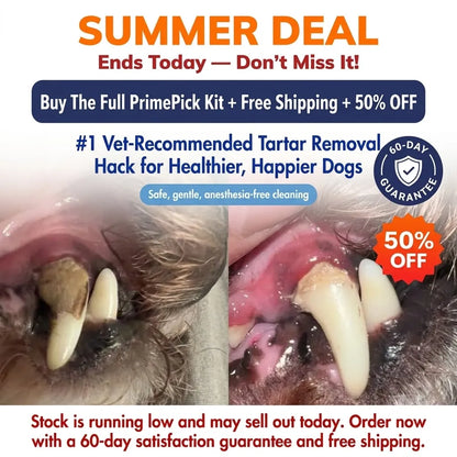PrimePick Kit – Remove Plaque & Tartar at Home, No Vet Anesthesia Needed