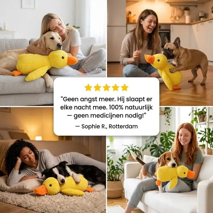 De Calming Duck™ Geen pillen. Geen bijwerkingen. Gewoon een rustige, gelukkige hond.