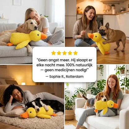 De Calming Duck™ Geen pillen. Geen bijwerkingen. Gewoon een rustige, gelukkige hond.